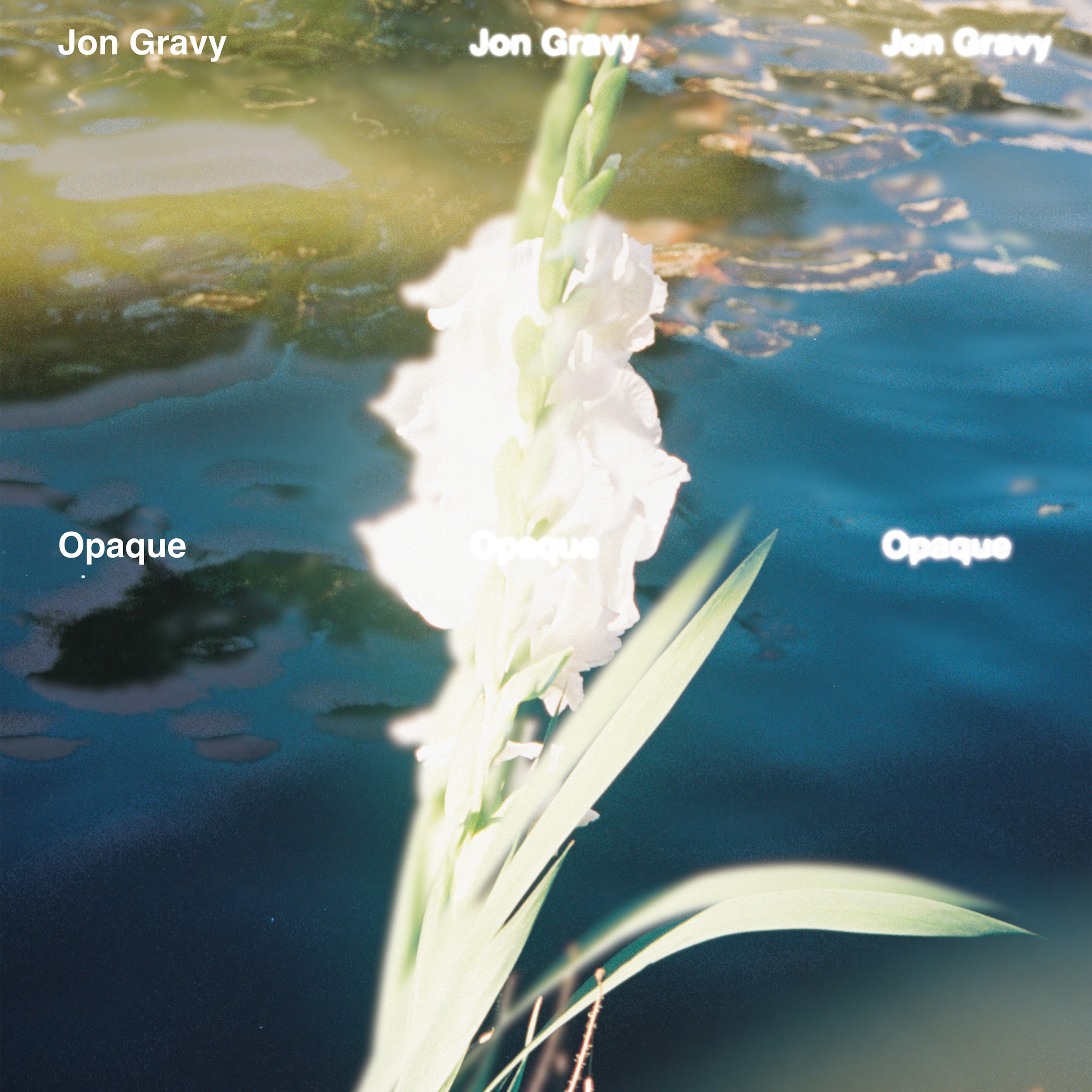 FRONTCOVER – SBH003VY – Jon Gravy – Opaque (1)